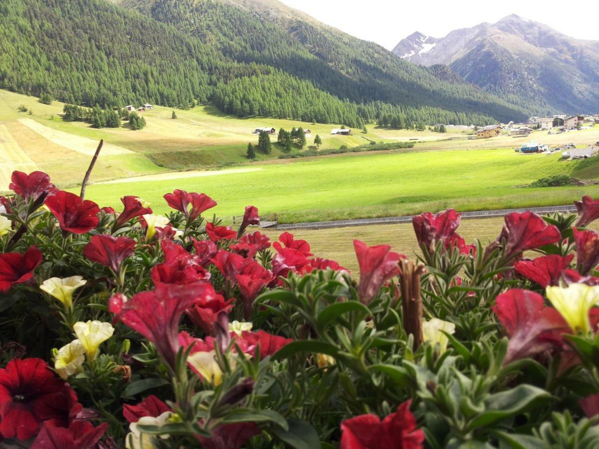 Al Molino Apartman Livigno Kültér fotó